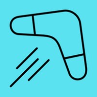Boomerang logo - Similar company to New Vision Systems Canada Inc.