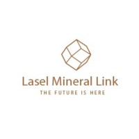 Lasel Mineral Link logo - Similar company to Advanced  Surface Technologies Co.,Ltd.