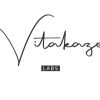 VITAKAZE logo - Similar company to Retiuno Technologies