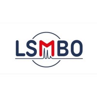 LSMBO logo - Similar company to Scf-Chembio