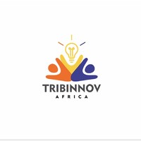 Tribinnov Africa logo - Similar company to Techace Networks