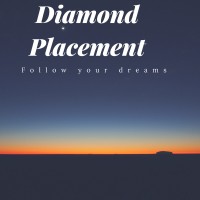 Diamond Placement logo - Similar company to Vishnu Soft Tech
