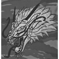 BDG Security Service logo - Similar company to Sbs Broadcasting