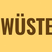 Wüste logo - Similar company to Mtsolutions- Your Smart Factory