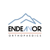 Endeavor Orthopaedics, LLC logo - Similar company to Disruptive Medtech
