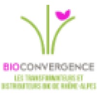 Bioconvergence