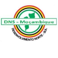 DNS-Moçambique (Associação Desenvolvimento Norte Sul) logo - Similar company to Jsi Mozambique