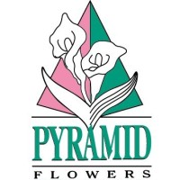 Pyramid Flowers logo - Similar company to Agq Labs Usa