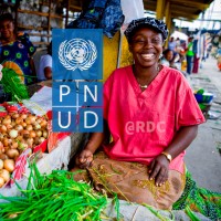 PNUD RDC 🇺🇳🇨🇩 logo - Similar company to Cnfe Rdcongo
