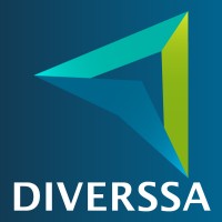Diverssa Creating Solutions