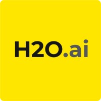 H2O.ai logo - Similar company to Quartic.Ai