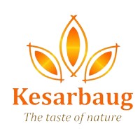 Kesarbaug logo - Similar company to Lazyinterface