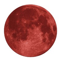 Red Moon Marketing Agency logo - Similar company to Tristar Logistics