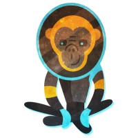 Wilymonkey Labs logo - Similar company to Bubblebee | Nocode Agency