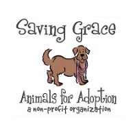 Saving Grace Animals for Adoption logo - Similar company to Ignite Medical Group