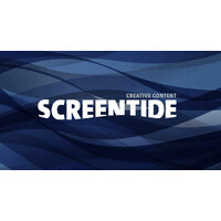 Screentide logo - Similar company to D3 Design, Llc