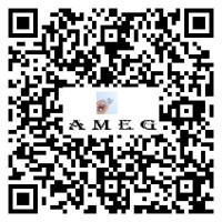 AMEG logo - Similar company to Moller Mercadotecnia