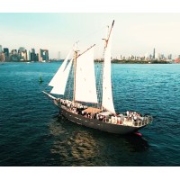 Manhattan by Sail logo - Similar company to Avi Foundation
