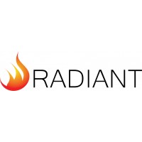 Radiant Security LLC logo - Similar company to Kdtech Software Solution Pvt. Ltd