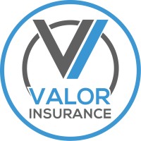 Valor Insurance Group logo - Similar company to Valor Insurance Network