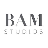 BAM Studios logo - Similar company to Technotrix Inc