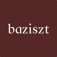 BAZISZT logo - Similar company to Custon'S