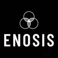 ENOSIS - Art | Leadership | Innovation logo - Similar company to Appee - Apprendre Ensemble
