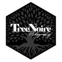 TreeNoire logo - Similar company to Ctd Fire Fighting