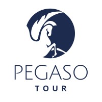 Pegaso Tour logo - Similar company to Pegaso Limo & Services