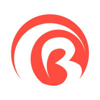 Brisa Intercultural logo - Similar company to Naturkultur E.V.