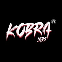 Kobra Labs logo - Similar company to Zuno Ai