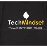 TechMindset logo - Similar company to Altesse Design