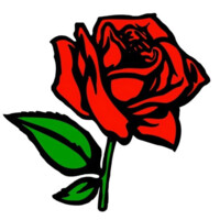 Roze Los Angeles logo - Similar company to Middlebank Consulting Group
