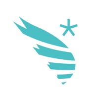 SwiftStar logo - Similar company to Swiftstar Technologies, Inc.
