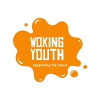 Woking Youth logo - Similar company to Surrey Adult Learning