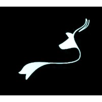hunter cohort logo - Similar company to Sentientpro