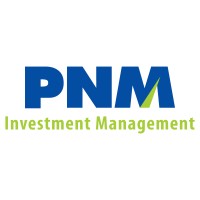 PT PNM Investment Management logo - Similar company to Skindivore