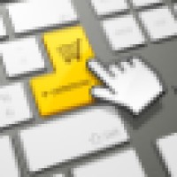 The Website Guy