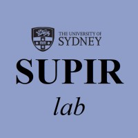 Sydney University Psychology of Intergroup Relations (SUPIR) Lab logo - Similar company to Felix Finance