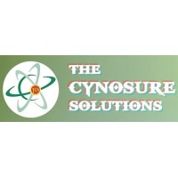The Cynosure Solutions Inc logo - Similar company to Information Technology Group (Itg)