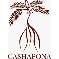 Cashapona logo - Similar company to Codak Gmbh