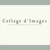 Collage D'Images