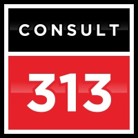 Consult 313 Ltd logo - Similar company to 313 Consulting, Llc