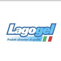 LAGOGEL S.R.L. logo - Similar company to G-Professional S.P.A.