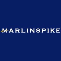 Marlinspike logo - Similar company to Aerodynamic Advisory
