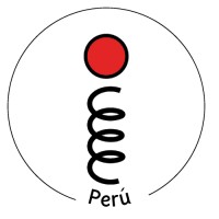 Impulso Social Perú logo - Similar company to Techy