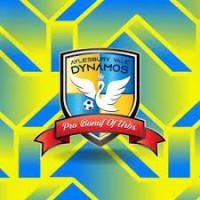 Aylesbury Vale Dynamos logo - Similar company to The Chiltern Brewery
