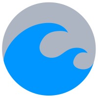 Blue Sea Capital LLC logo - Similar company to Raspberrymed