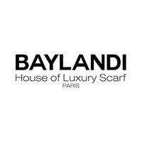 BAYLANDI logo - Similar company to Seeme