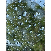 ESTEAM logo - Similar company to Cee Caraibes (Guadeloupe)